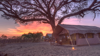 andBeyond Chobe under Canvas: Abend über den Zelten