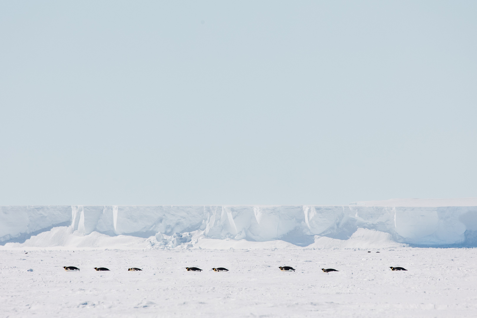 White Desert White Desert