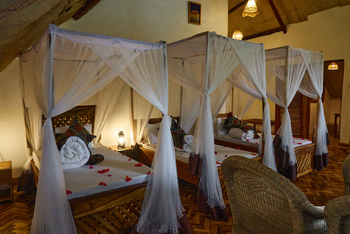 Arusha Safari Lodge: Drei Betten mit Moskitonetzen und Blumenakzenten