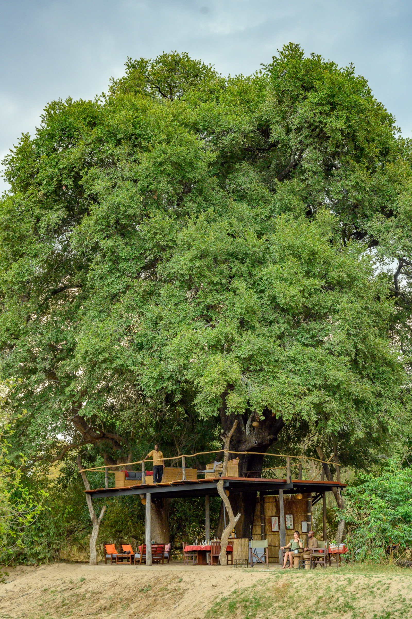 Chikoko Tree Camp Chikoko Tree Camp: Zentralbereich