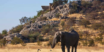 Dolomite Camp: Elefant unterhalb des Camps