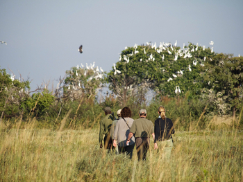 King Lewanika Lodge: Ausflug mit Guide