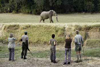 Kuyenda Bushcamp: Walking Safari