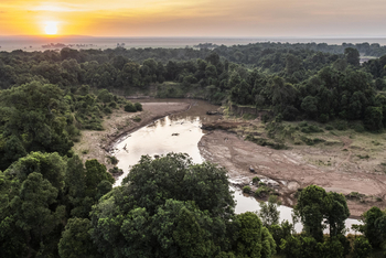 Little Governors' Camp: Ballon-Safari