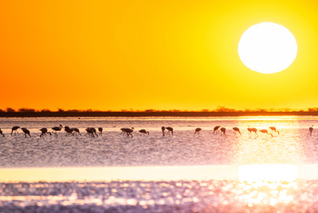 Nata Lodge Nata Lodge: Sonnenuntergang