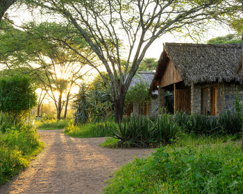 Ndutu Safari Lodge: Campgelände