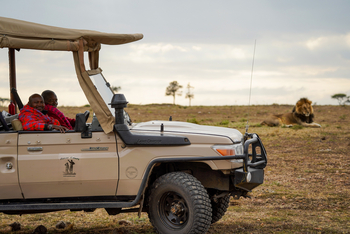 Porini Lion Camp: Game Drive