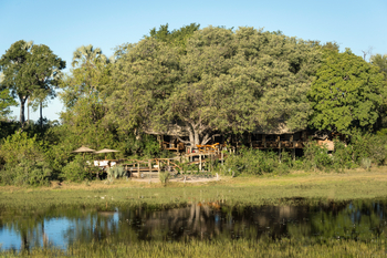Tubu Tree Camp: Camp unter Bäumen