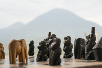 Volcanoes Virunga Lodge: Gorillaschach