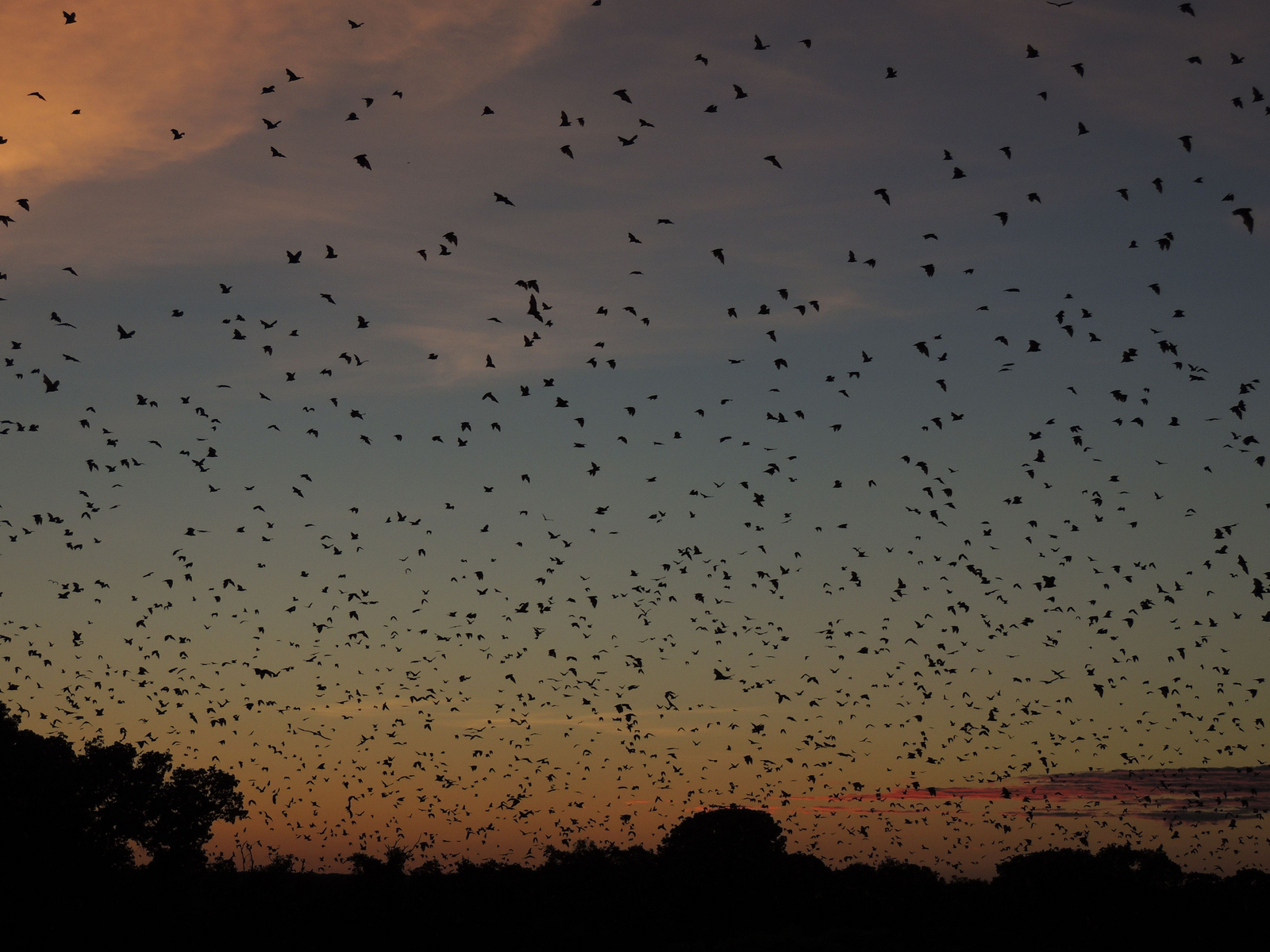 Wasa Lodge Wasa Lodge: Start in die Nacht