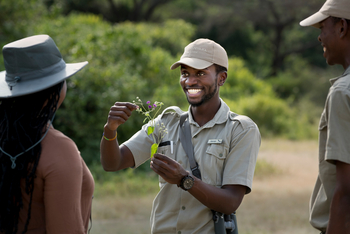 andBeyond Lake Manyara Tree Lodge: Guide mit Heilpflanze