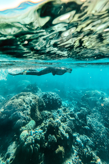 Azura Benguerra Island: Schnorcheln