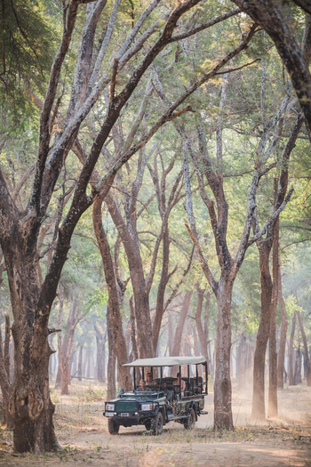 Classic Zambia Safaris Classic Zambia Safaris: Game Drive