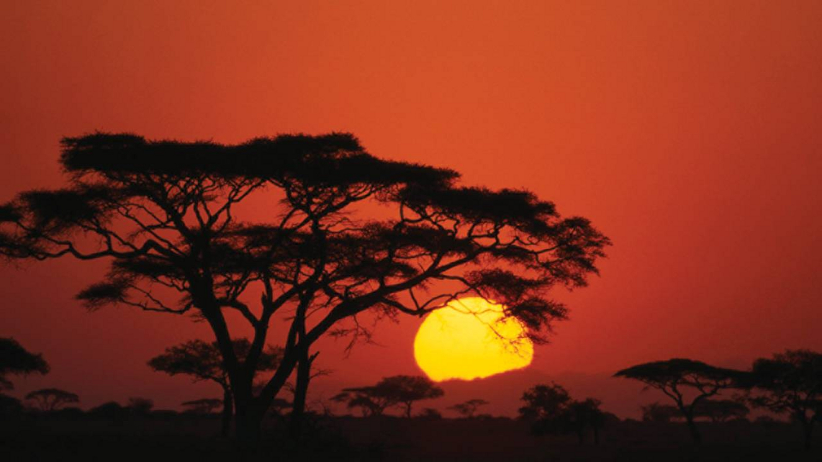 Four Seasons Safari Lodge Four Seasons Safari Lodge: Sonnenuntergang