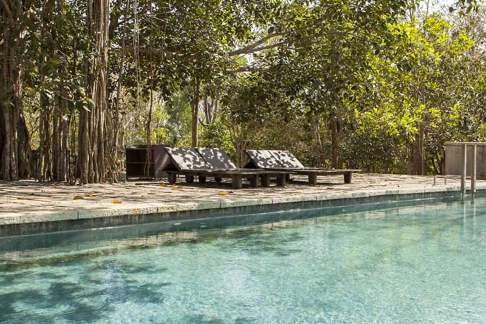 Kaav Safari Lodge Kaav Safari Lodge: Swimming Pool