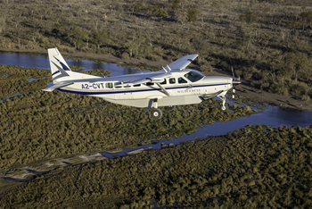 King's Pool Camp King's Pool Camp: Elefanten unter dem Flugzeug