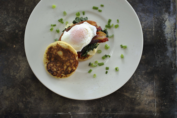 Lion Camp Lion Camp: Eggs Benedict