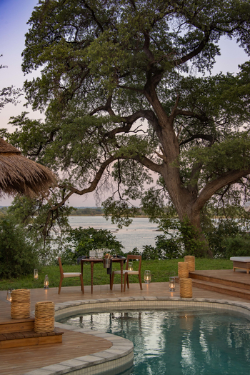 Mpala Jena Camp: Alter Baum