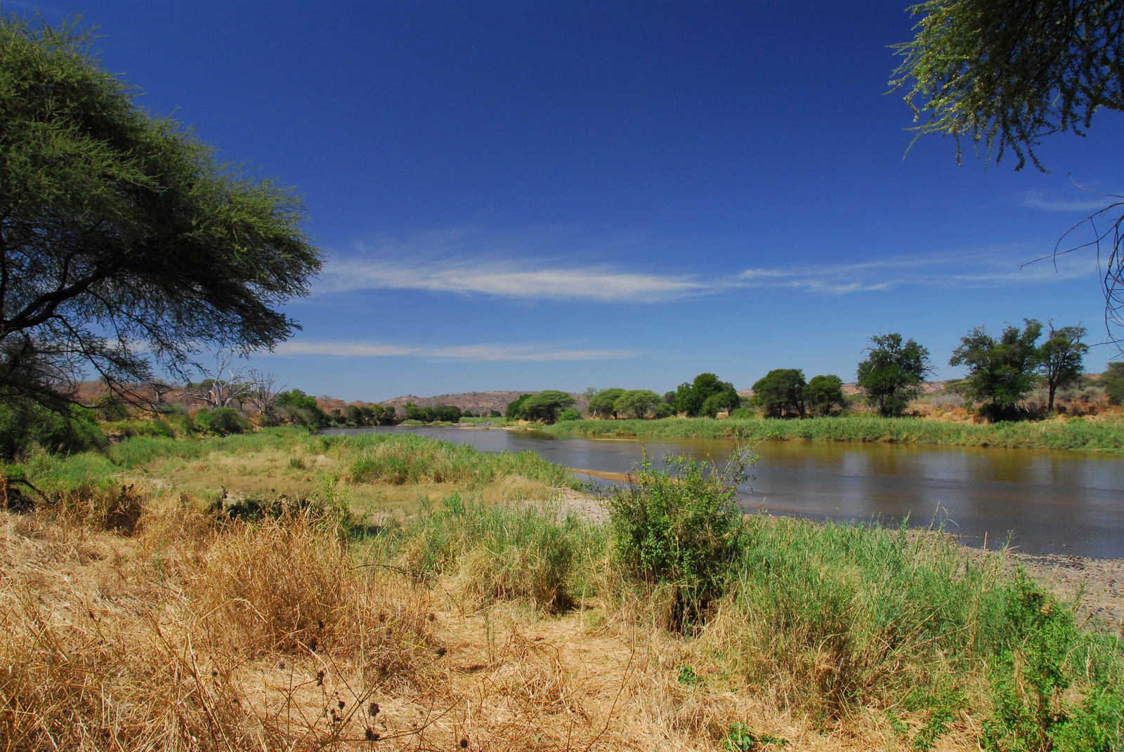 Mwagusi Safari Camp Mwagusi Safari Camp: Hochwasser im Mwagusi River