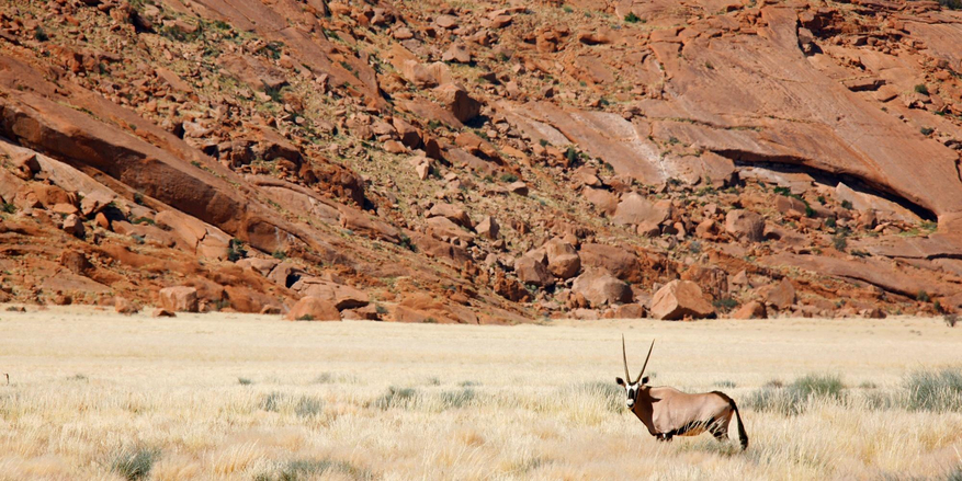 Namtib Desert Lodge