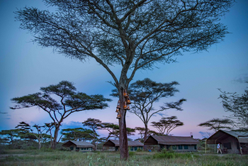 Olaado Camp: Abend im Camp