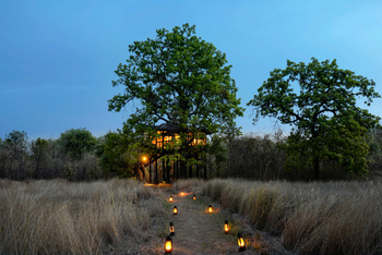Pench Tree Lodge Pench Tree Lodge: Laternen