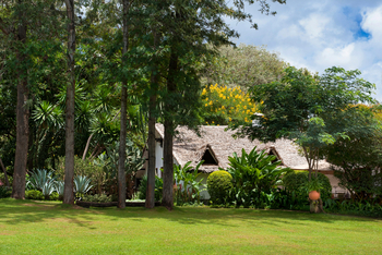 Plantation Lodge: Chalet
