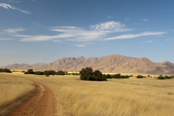 Sanctuary Okahirongo River Camp Sanctuary Okahirongo River Camp: No Title