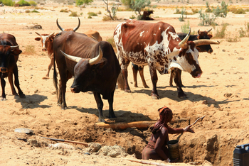Sanctuary Okahirongo River Camp Sanctuary Okahirongo River Camp: No Title