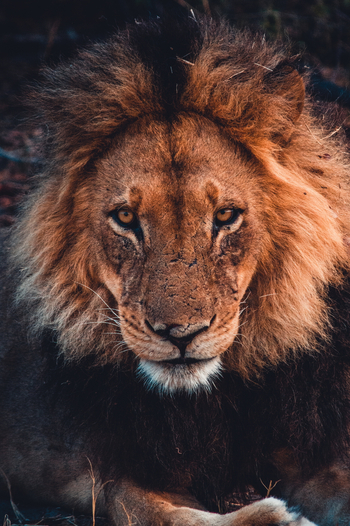 Splash Camp: Entspannung