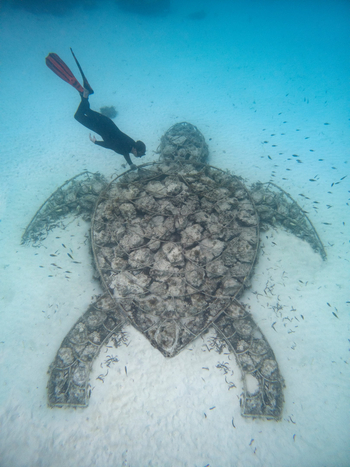 andBeyond Mnemba Island Lodge: Kunstriff