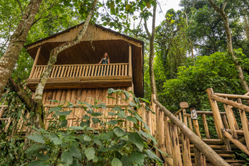 Buhoma Lodge: Blick in die Höhe