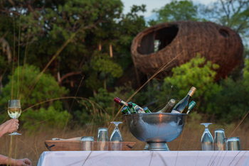 Chisa Busanga Camp Chisa Busanga Camp: Sundowner-Getränke