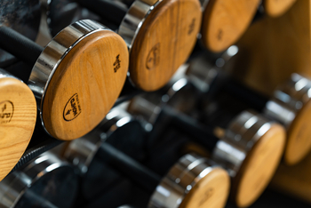 Gibb's Farm: Gewichte im Gym