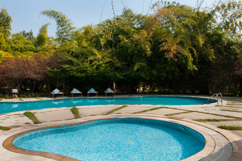 Jim's Jungle Retreat: Swimming Pool