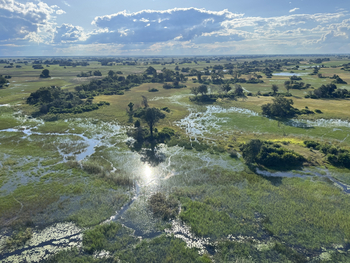 Kala Camp: Seerosenteiche