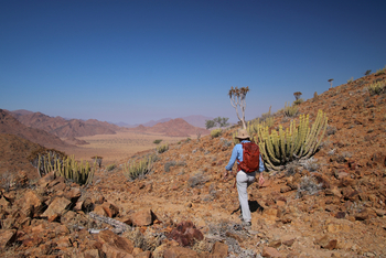 Kwessi Dunes: Wanderung in der Natur