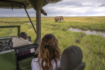 Little Governors' Camp: Elefant im Sumpf