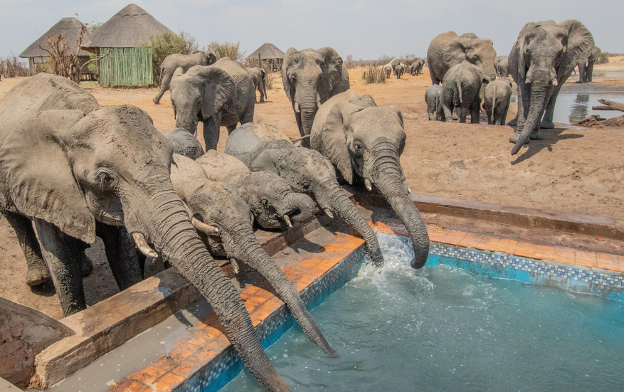 Nehimba Lodge