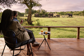 Sanctuary Tambarare Camp: Blick auf eine Elefantenherde