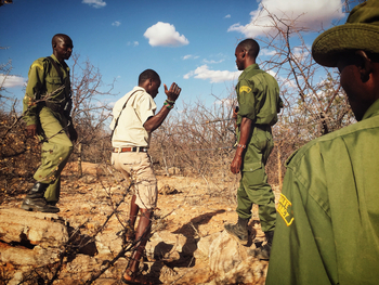 Saruni Rhino Camp: Guides während Spurensuche