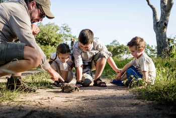 Singita Lebombo Lodge: Guide zeigt Kindern Schildkröte am Buschpfad