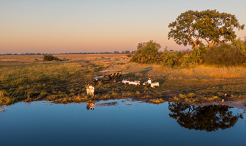 The Dhow Suite at Zarafa: Sundowner
