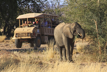 Twyfelfontein Country Lodge: Game drive