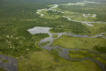 Zarafa Camp: Beginn des Savute Channels