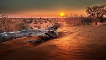 Bagatelle Kalahari Game Ranch: Sonnenuntergang