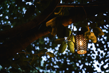 Bandhav Vilas: Laterne