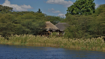 Chobe Bakwena Lodge Chobe Bakwena Lodge: Honeymoon Chalet - Lage am Ufer