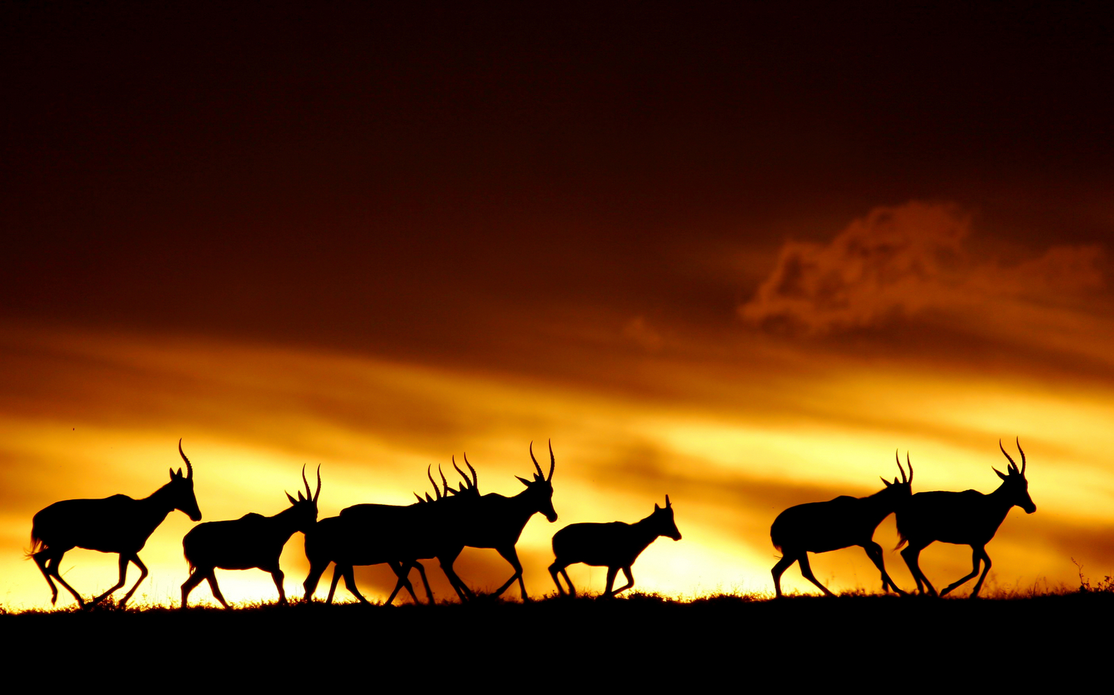 Founders Lodge by Mantis Founders Lodge by Mantis