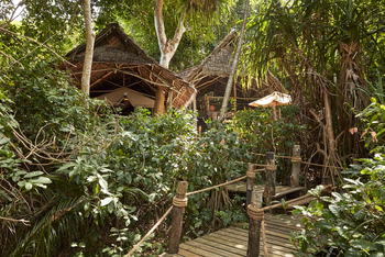 Fundu Lagoon: Jungle Suite